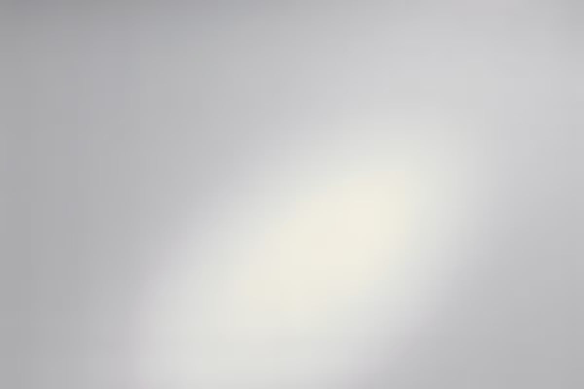 Mat prozirna statička folija d-c-fix za tuš kabine i staklene površine pro za više privatnosti