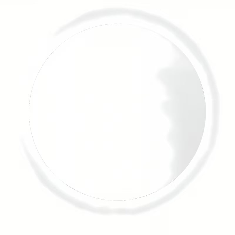 Okruglo LED ogledalo Naturel Project 60x60 cm sa senzorom i folijom protiv zamagljivanja