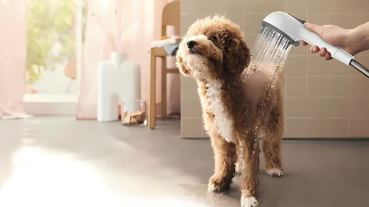 Bijela ručni tuš pro za pse s 4 funkcije i dugim masažnim izbočinama