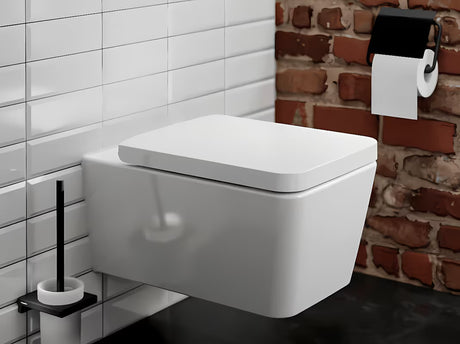 Zidna ČETKA za Wc hansgrohe addstoris u mat crnoj boji s držačem od metala i stakla