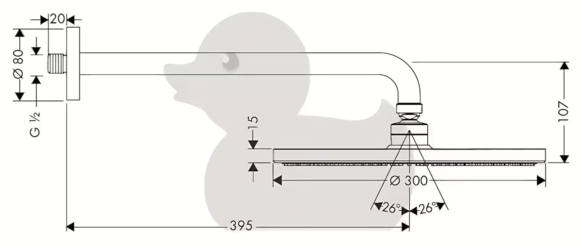 Kromirani nadglavni tuš Hansgrohe Raindance S 300 mm uključuje nosač nadglavnog tuša pro zidna montaža.