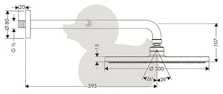 Kromirani nadglavni tuš Hansgrohe Raindance S 300 mm uključuje nosač nadglavnog tuša pro zidna montaža.