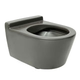 Viseća WC Školjka Roca Inspira u mat boji oniks s bezrubnom izvedbom Rimless i skrivenim pričvršćenjem.