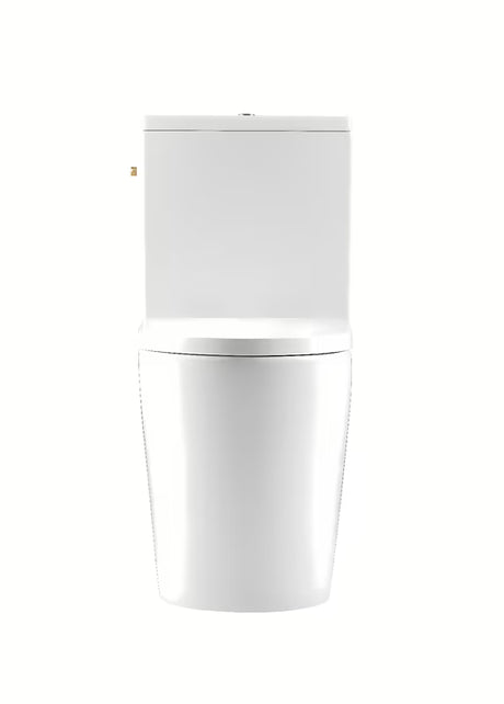 Bijeli samostojeći  WC kombi SAT Brevis s vodokotlićem, WC daskom soft Close i vario odvodom