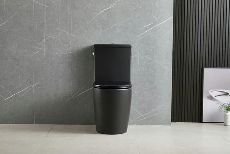 Samostojeći  WC kombi SAT Brevis u crnoj mat boji s rimless školjkom i sjedalom soft Close.