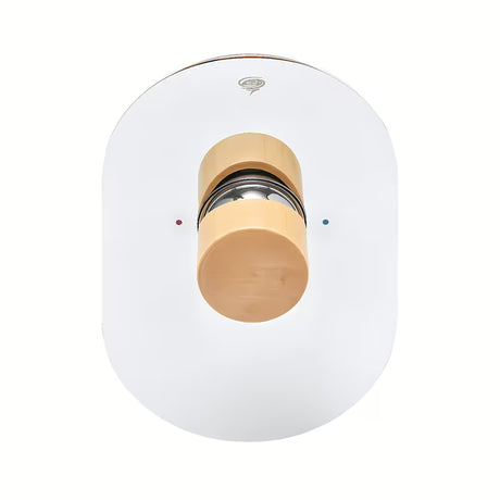 Podžbukna miješalica za tuš SAT Fusion u imitaciji drva s ručicom i kromiranim detaljima.