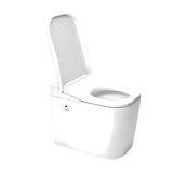 Stojeća WC Školjka SAT optimflush u bijeloj boji s vodokotlićem i zidnom tipkom za ispiranje.