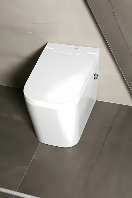 Stojeća WC Školjka SAT optimflush u bijeloj boji s vodokotlićem i zidnom tipkom za ispiranje.