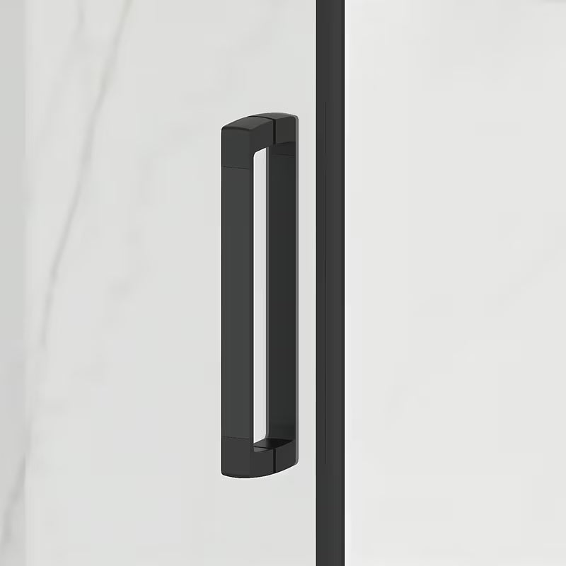 Pravokutna tuš kabina SAT Tex BB 100x80 cm s crnim profilima i prozirnim staklom