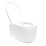 Viseći WC set SAT pro za lagane zidove s modulom, vodokotlićem TECEbase, tipkom za ispiranje i sjedalom soft Close.