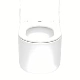 Viseći WC set SAT za ugradnju s modulom i vodokotlićem TECE, bijelom tipkom TECE base i sjedalom soft Close.