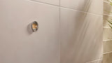 Brončana zidna ČETKA za Wc Tesa s držačem s odvojivom staklenom posudicom