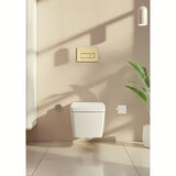 Tipka za ispiranje tipka Vitra Root Square u brušenoj zlatnoj boji s mat površinom